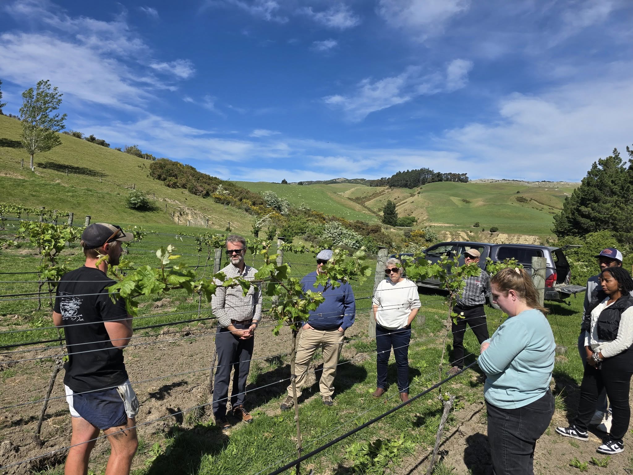 NZ Sustainable Vineyard